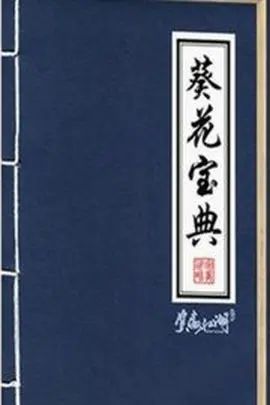 《4K踢馆超大杯（89个视频 11小时25分）》4K蓝光原盘下载